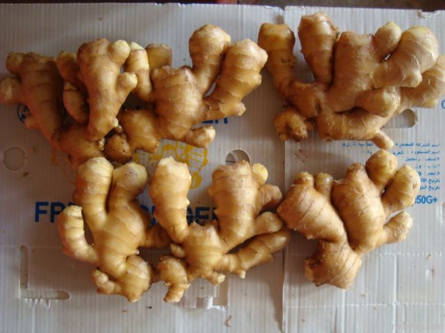 fresh ginger and air dried   ginger