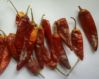 dried chilli