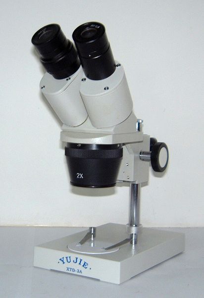 Stereo Microscope