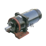 Planetary gearmotor