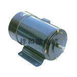 ZYT PM DC motor