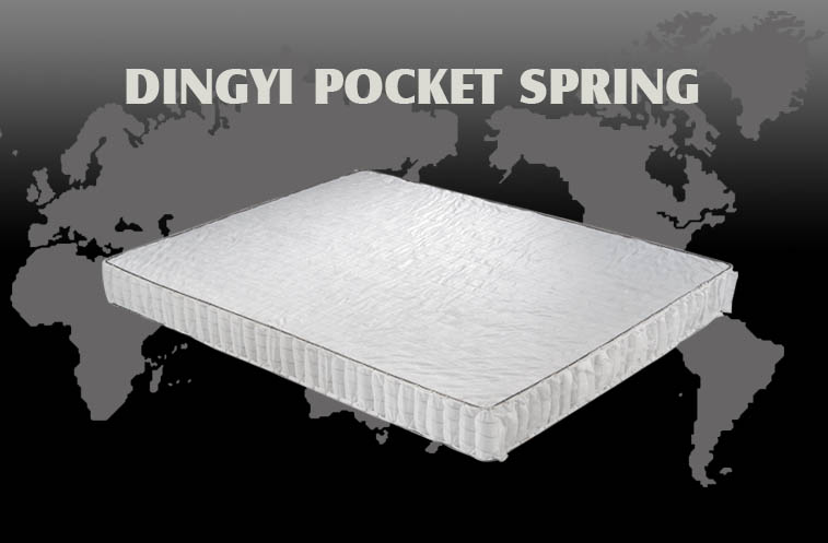 pocket spring2