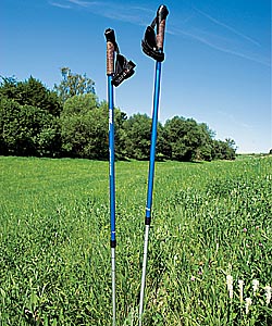 Walking Poles