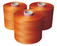Polyester cord