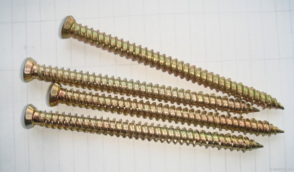 Concrete Screw