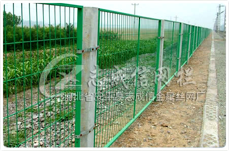 fencing wire mesh. municipal protection column.