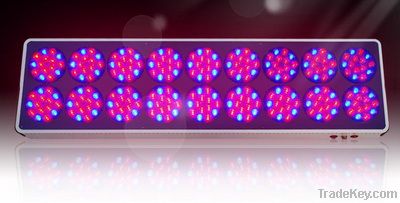 600W led grow light