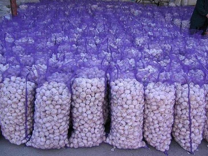 Pure White Garlic in mesh bag