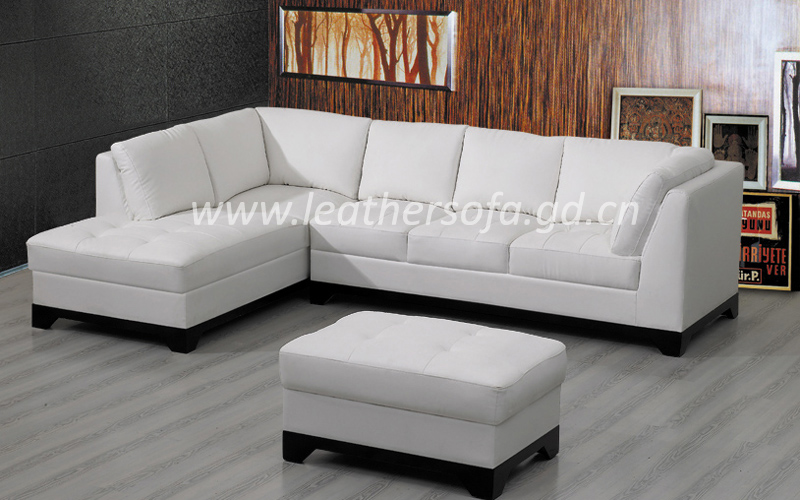 Leather Sofa    (C102)