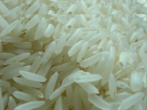 Long Grain Rice 386