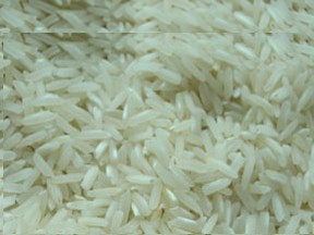 Long Grain Rice IRRI-9