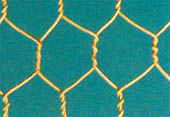 hexagonal mesh