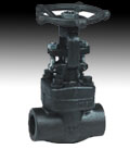 gate valve