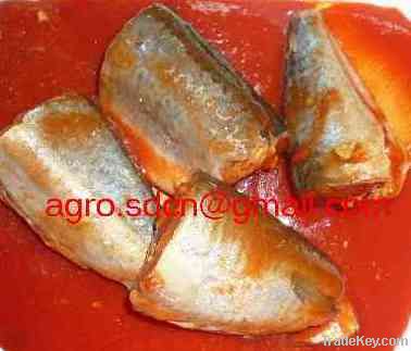 canned mackerel