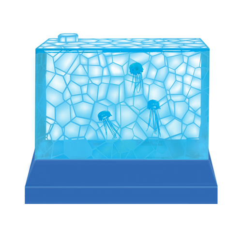 Water Cube Aquarium