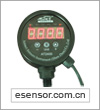 Stainless Steel Pressure Gauge Model No.: AT2500