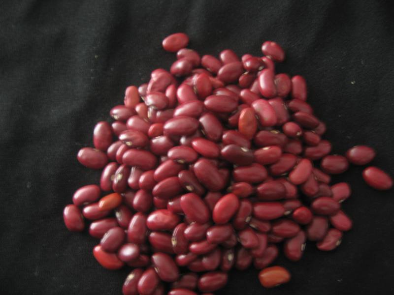 Red Kideny Beans
