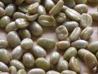 Brazilian Coffee Green Beans