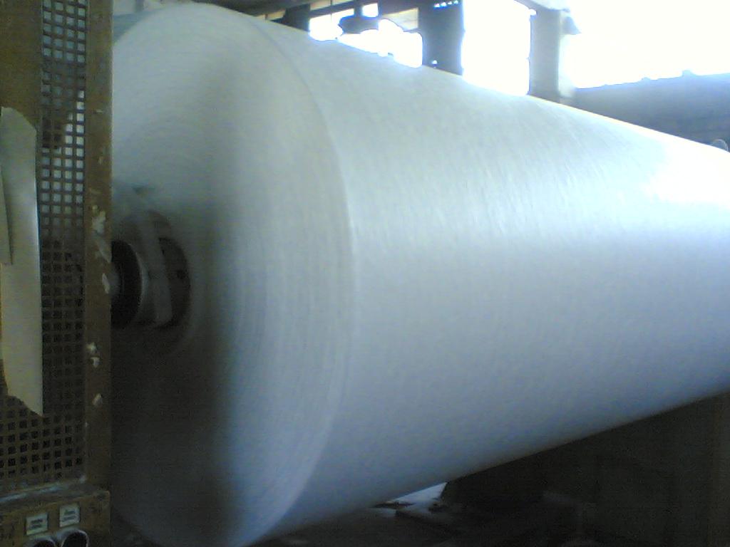 Fiberglass Tissue