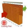 cooling pad