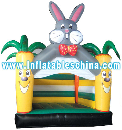 inflatable bouncers,