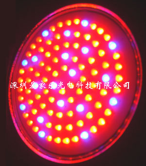 110w led grow light