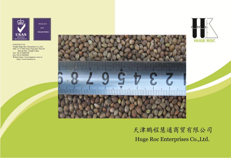 hemp seeds different size