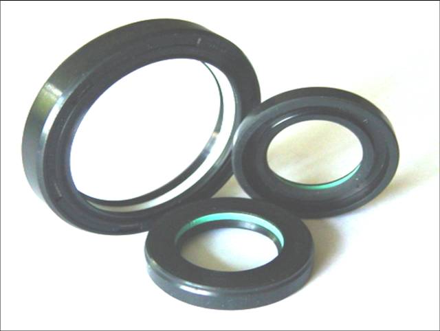 High-Pressure Oil Seals