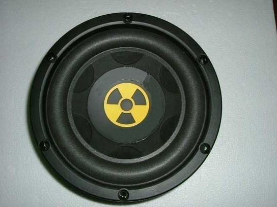 10&quot; car woofer (car speaker)