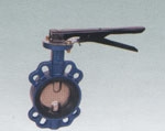 Butterfly Valve