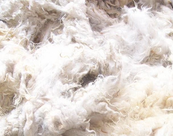 white wool