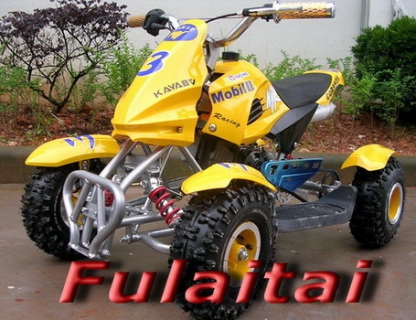 Quad Bike/Mini ATV/49cc ATV