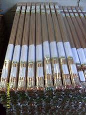 Copper Bonded Ground Rods