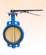 Butterfly Valves