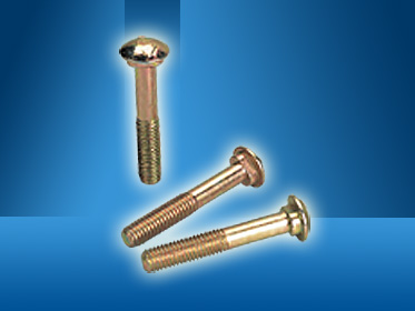 Carriage Bolt (Auto Parts)