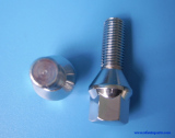 Wheel Bolt