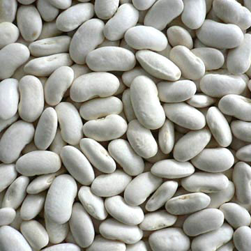 white kidney bean