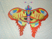 butterfly kite