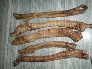 DRY Trachea