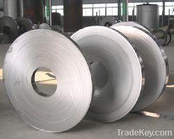 Stainless Steel Strips