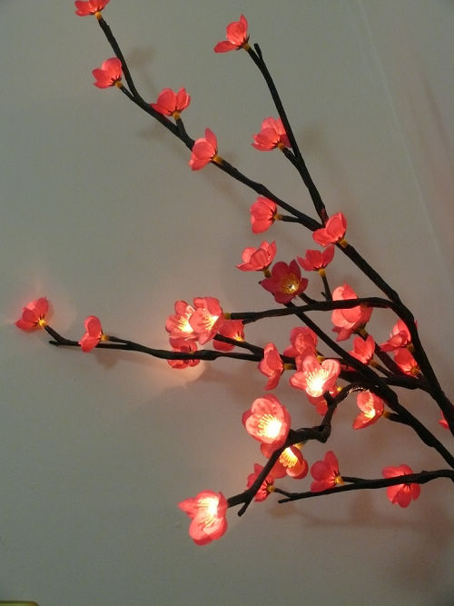 Rice Blossom Flower Branch Light