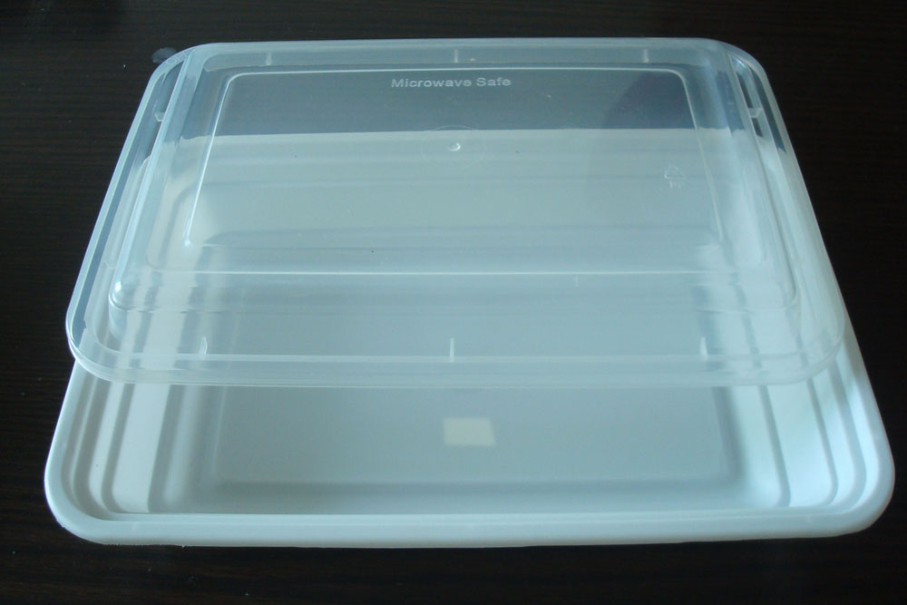 Rectangular Lunch Boxes