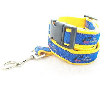 dog collar and dog leash