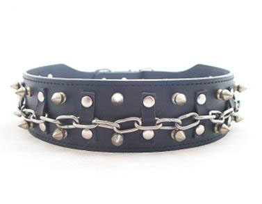 dog collar