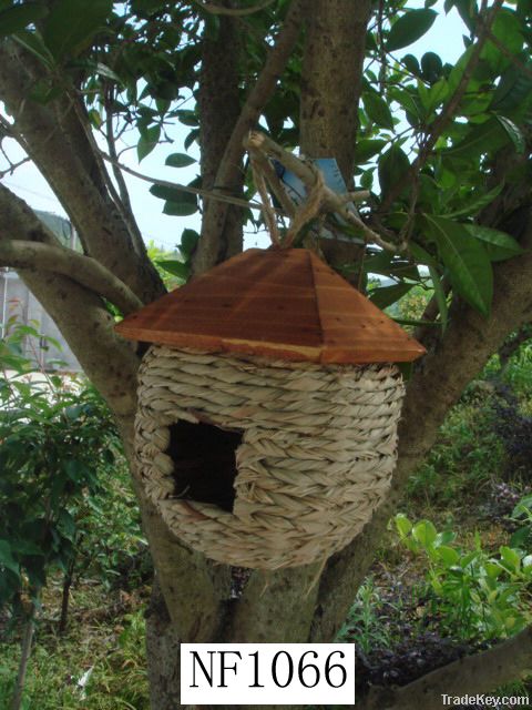 Grass Bird house