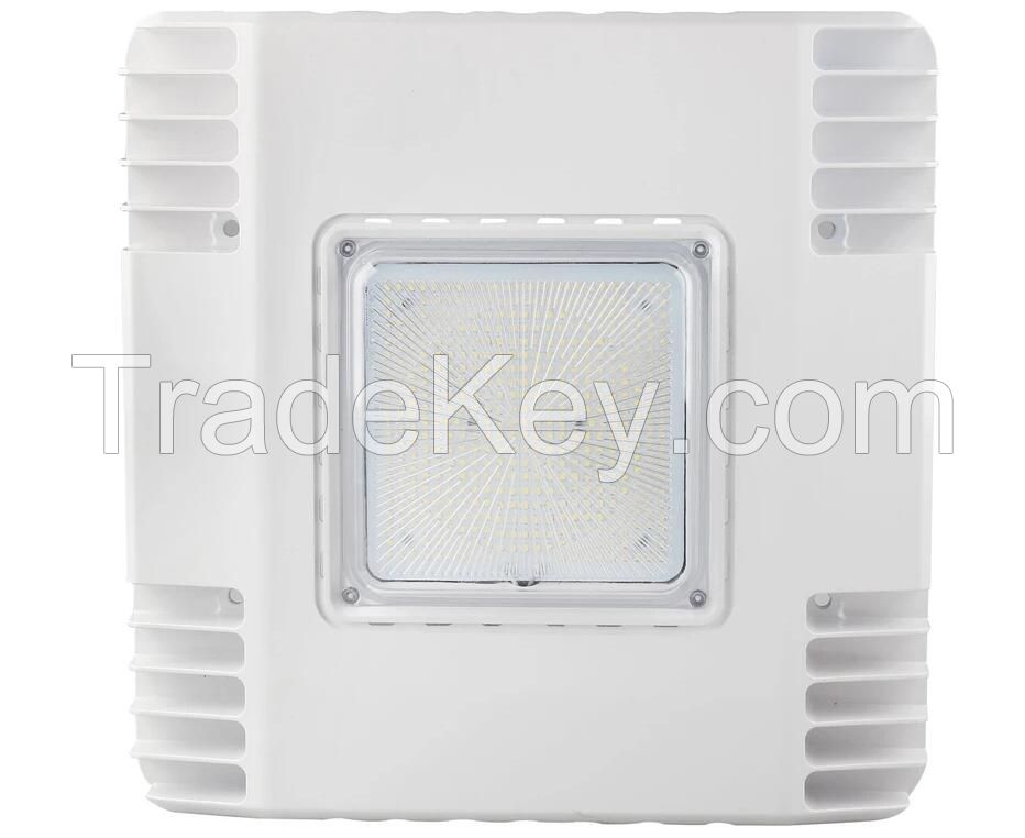 LED CANOPY LIGHT