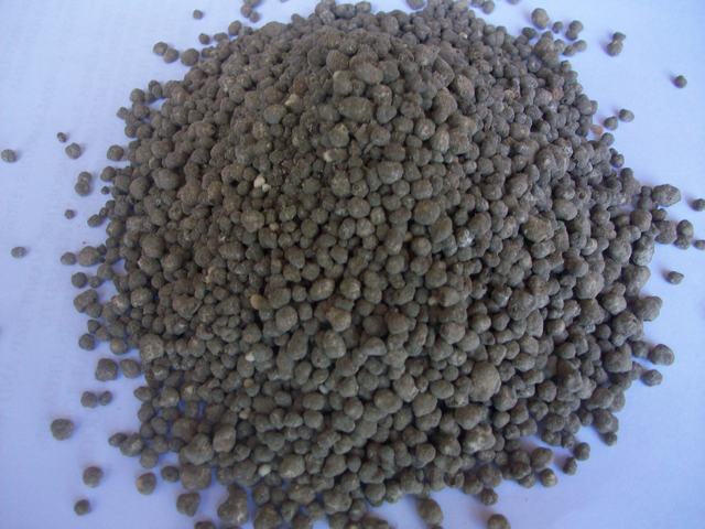 Organic fertilizer ( Bat guano )