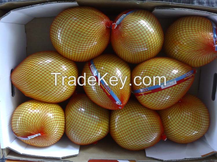 Fresh Honey Pomelo 2016 New Crop, Pinghe Guanxi Honey Pomelo