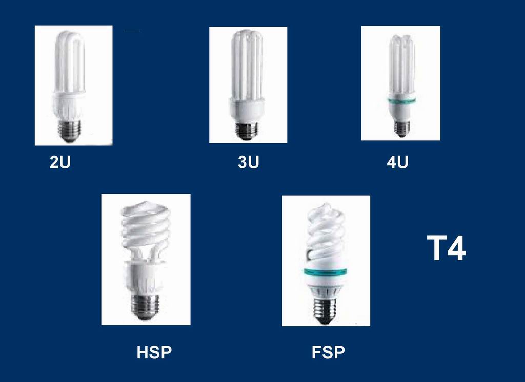 T4 CFL Lamps