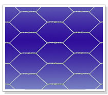 Hexagonal wire netting